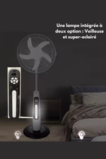 Charger l'image dans la galerie, Ventilateur Rechargeable 18 Pouces 3 EN 1
